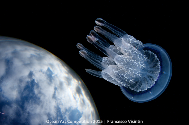 Illustration for article titled These Photos Show the Alien Beauty of Life Underwater